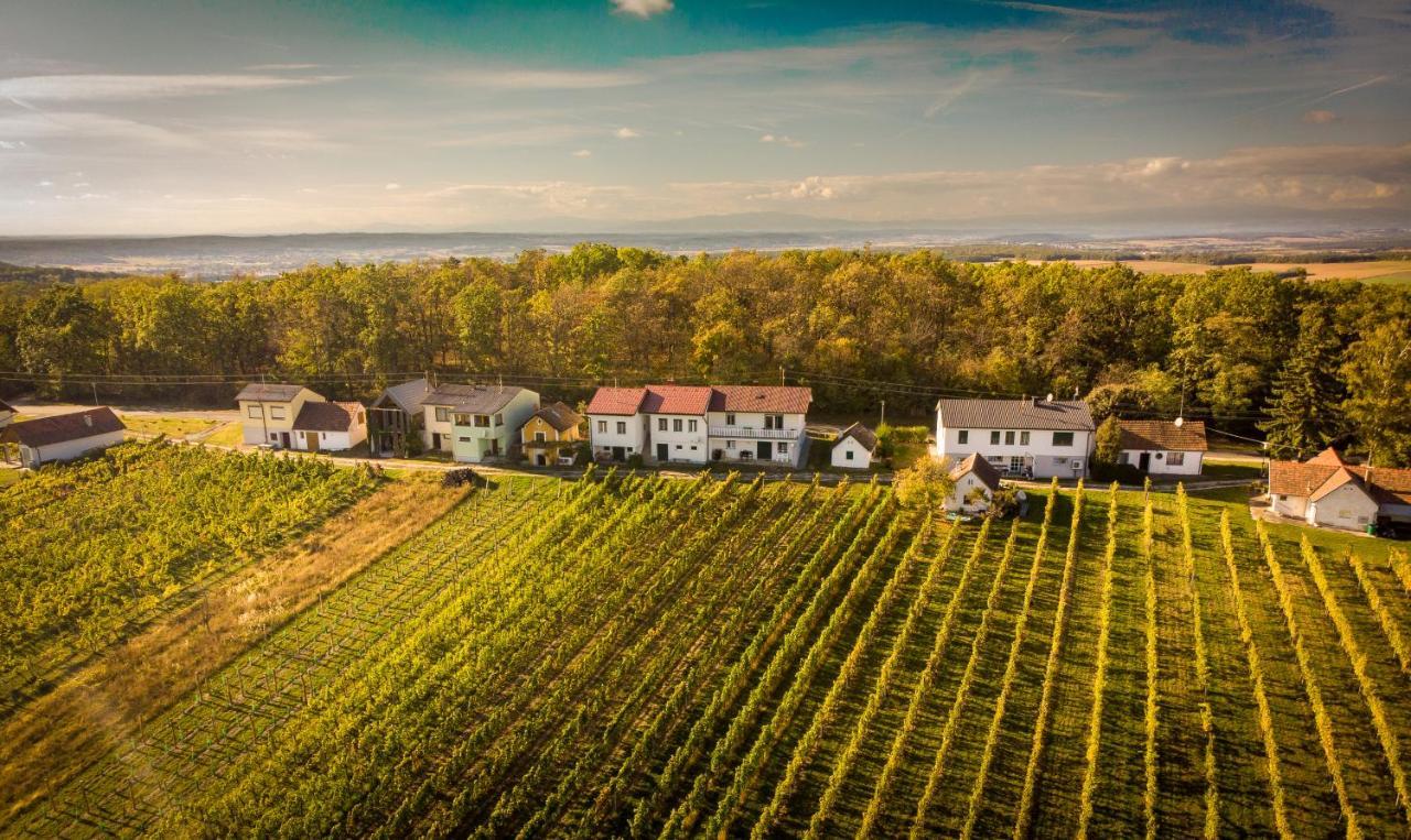 Ferienhaus Szapary II Eisenberg an der Pinka Dış mekan fotoğraf