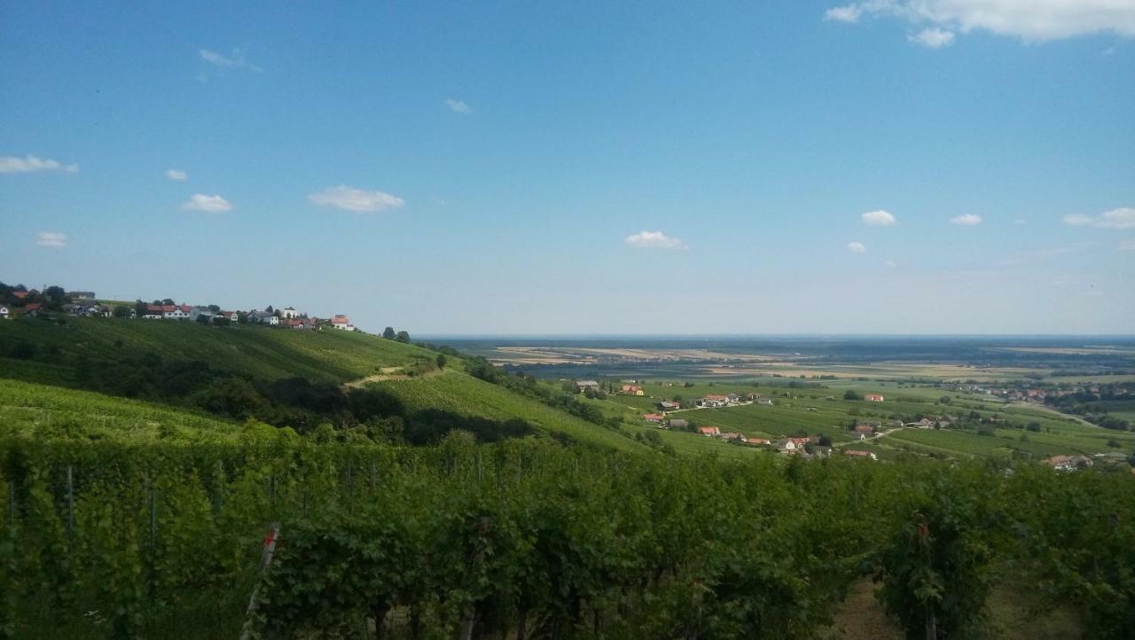 Ferienhaus Szapary II Eisenberg an der Pinka Dış mekan fotoğraf