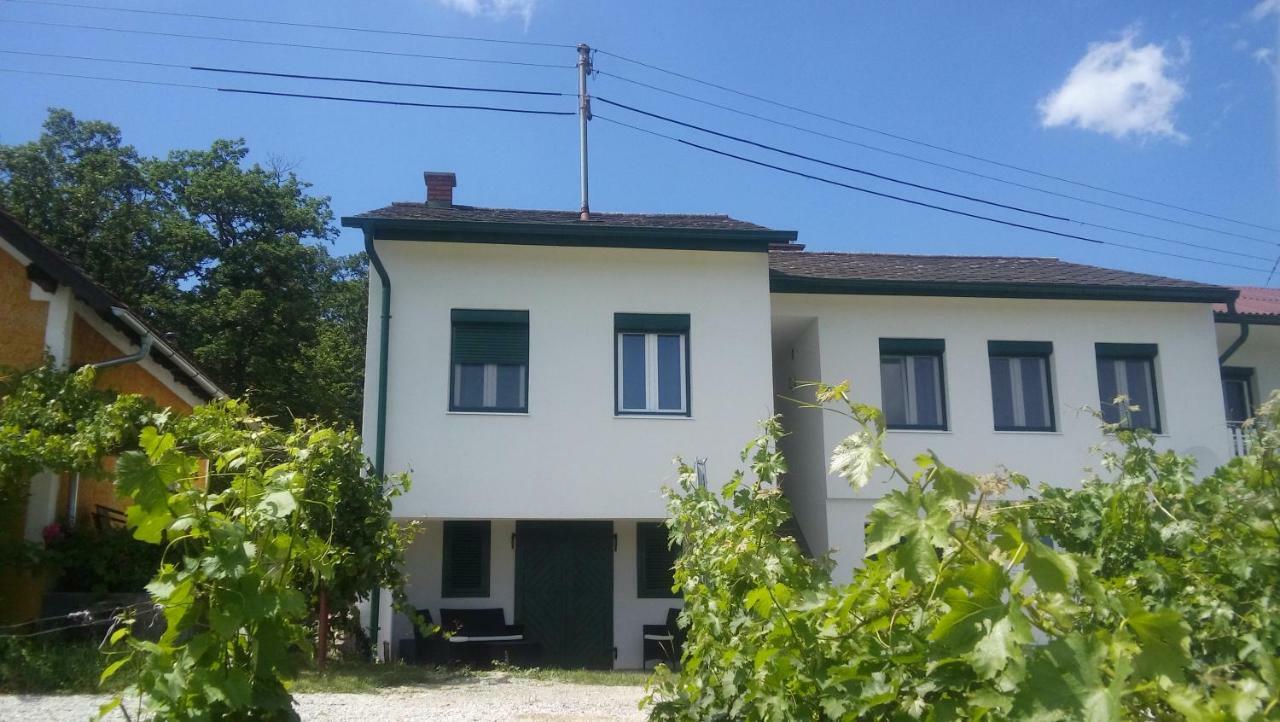 Ferienhaus Szapary II Eisenberg an der Pinka Dış mekan fotoğraf